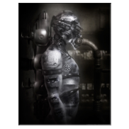 Recharger 2010 Version