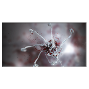 Bakterium|Synthese 3.0