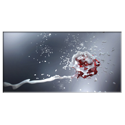 Bakterium|Synthese 2.0